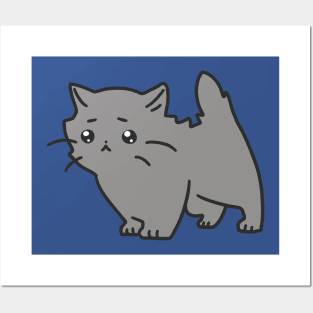 Sad Blue Persian Kitten Posters and Art